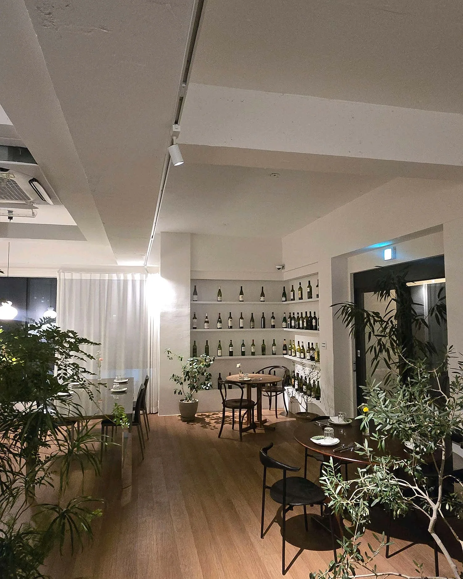 강남 브런치카페 대관문의 공간 사진